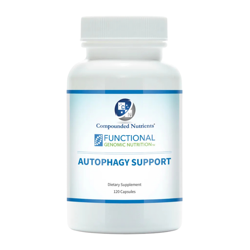 AUTOPHAGY SUPPORT