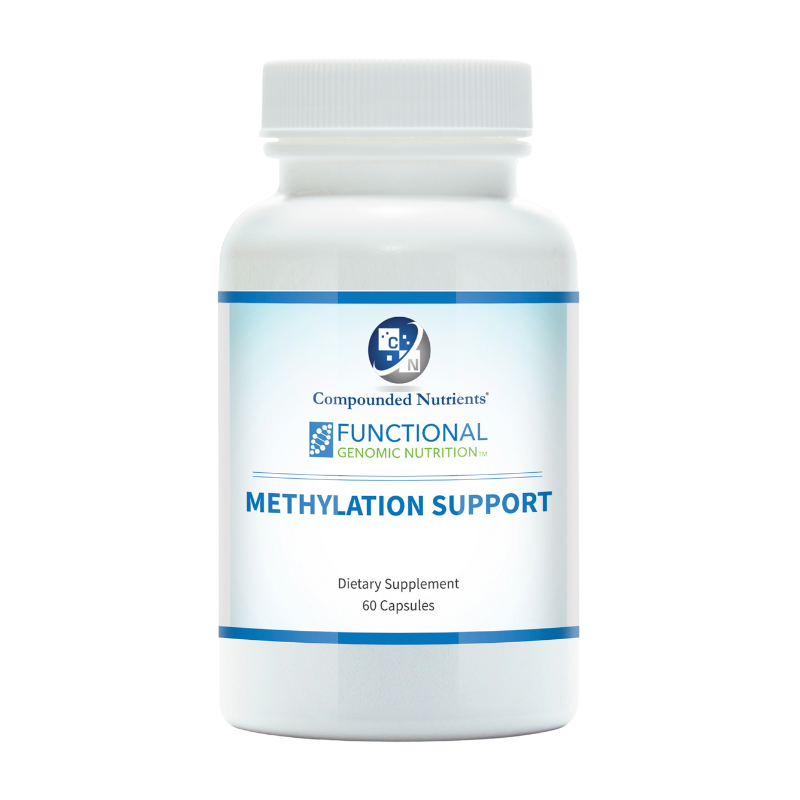 METHYLATION SUPPORT